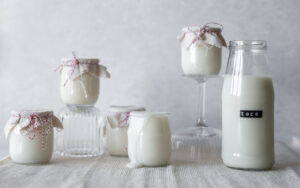 Fyg ferment pour yaourt végétal compatible avec l'intolérance au lactose